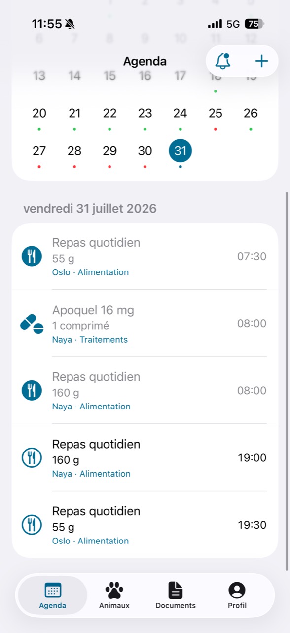Agenda quotidien de Naya et Oslo avec repas et traitement